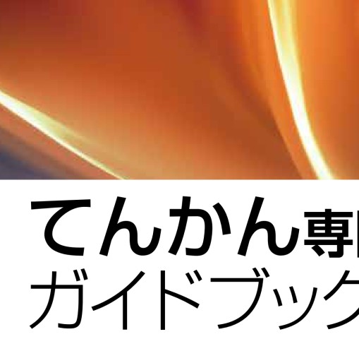 2417てんかん専門医ガイドブック 改訂第２版