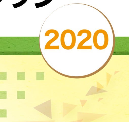 2431川崎病診断の手引きガイドブック２０２０